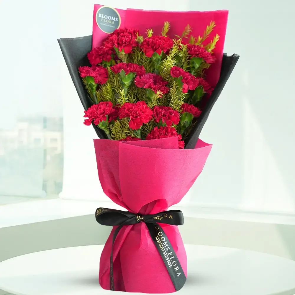 20 red carnations bouquet
