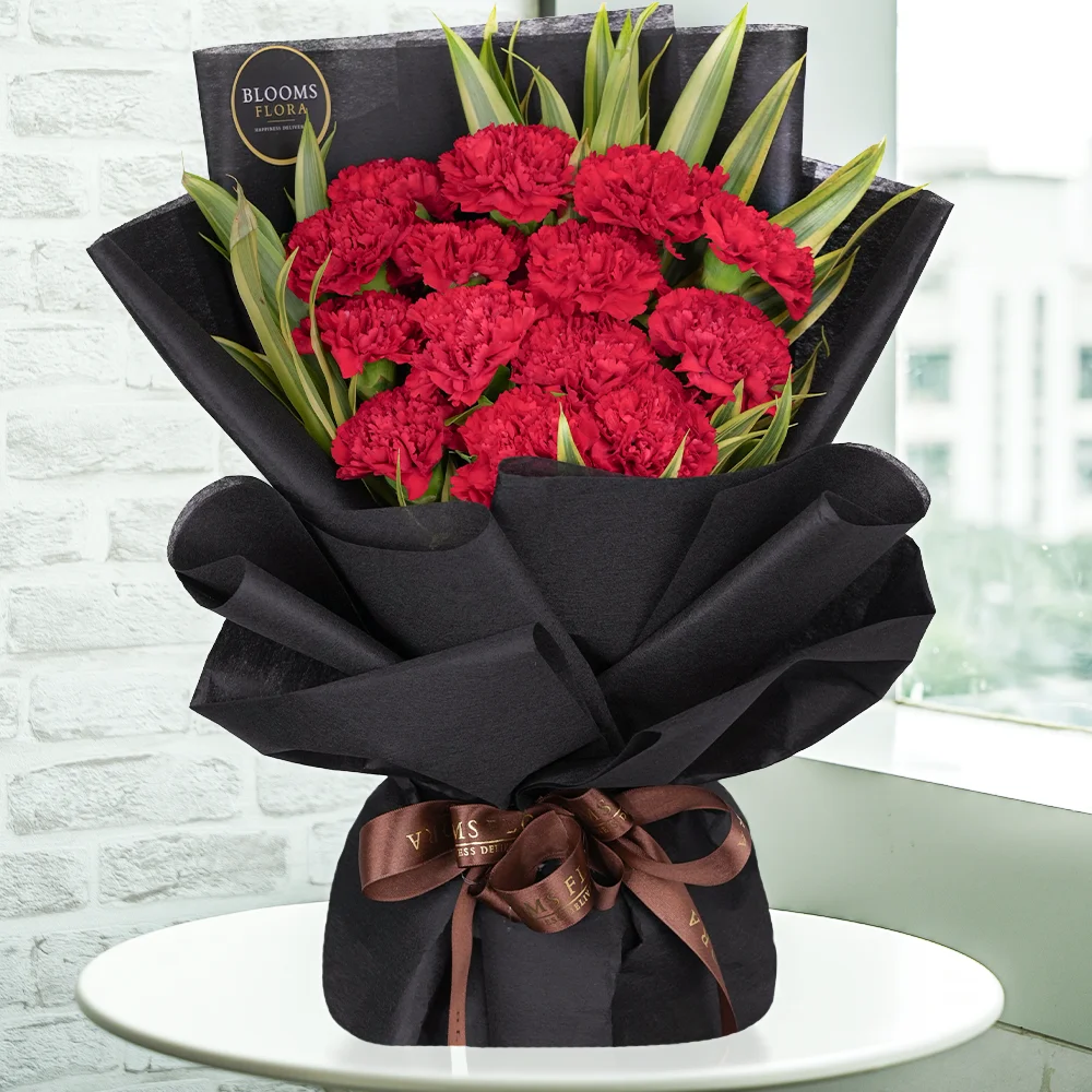 15 carnations bouquet