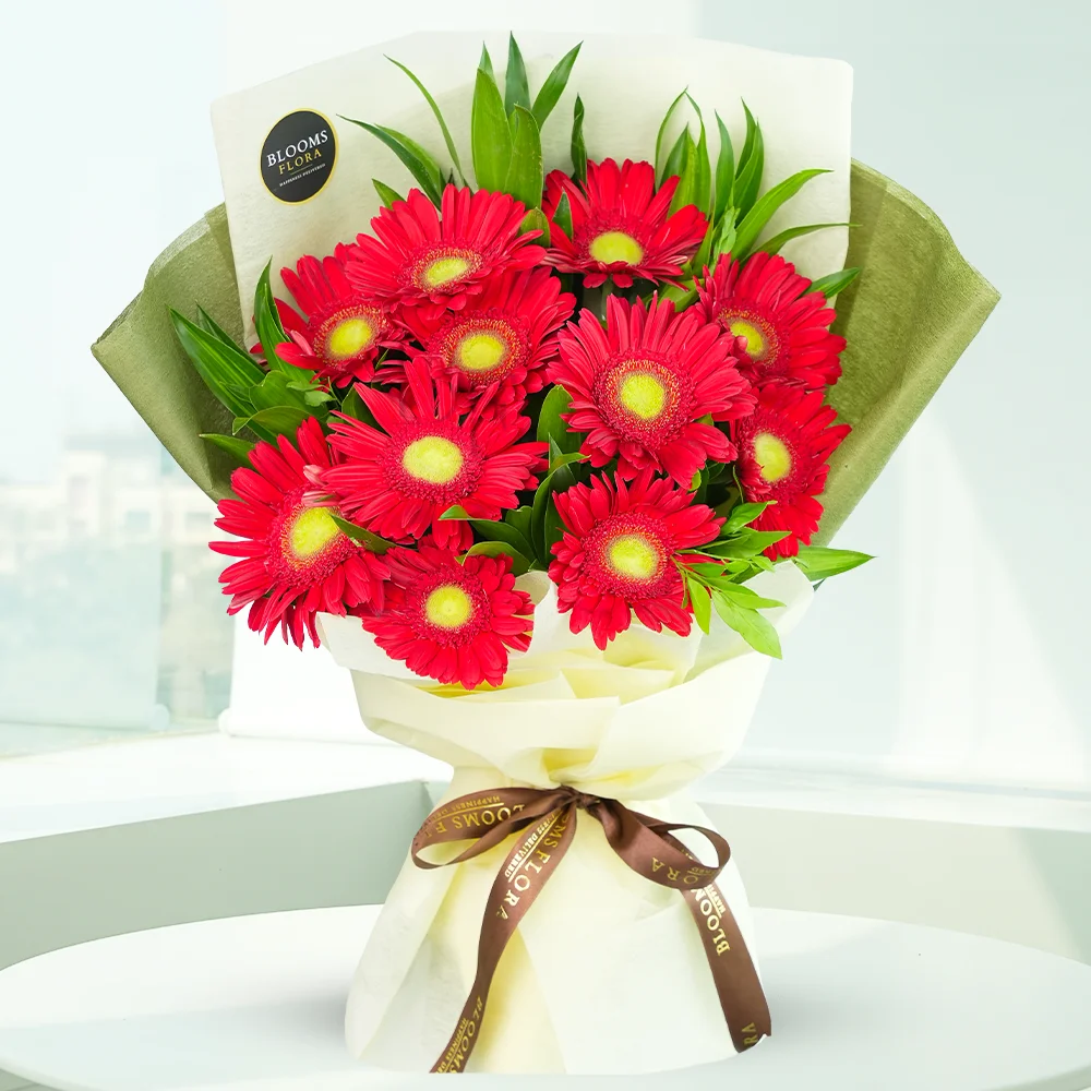 12 red gerberas bouquet
