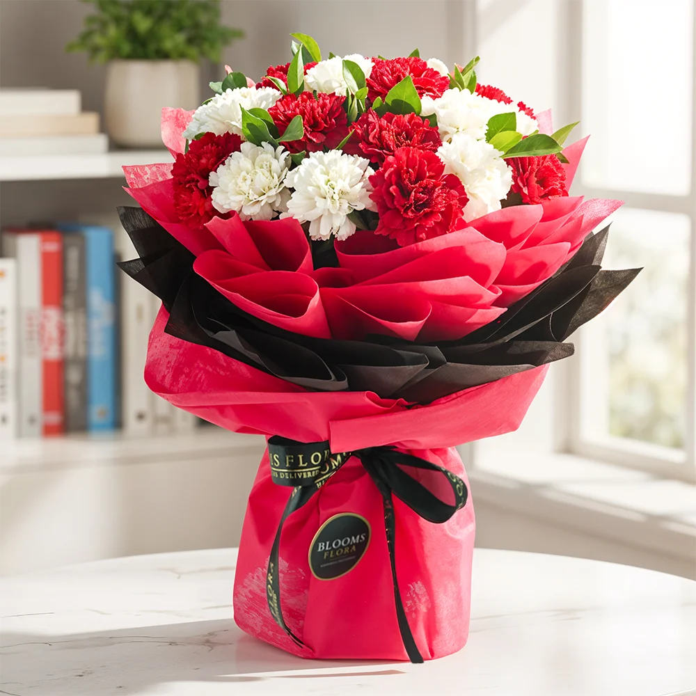 18 red and white carnations bouquet