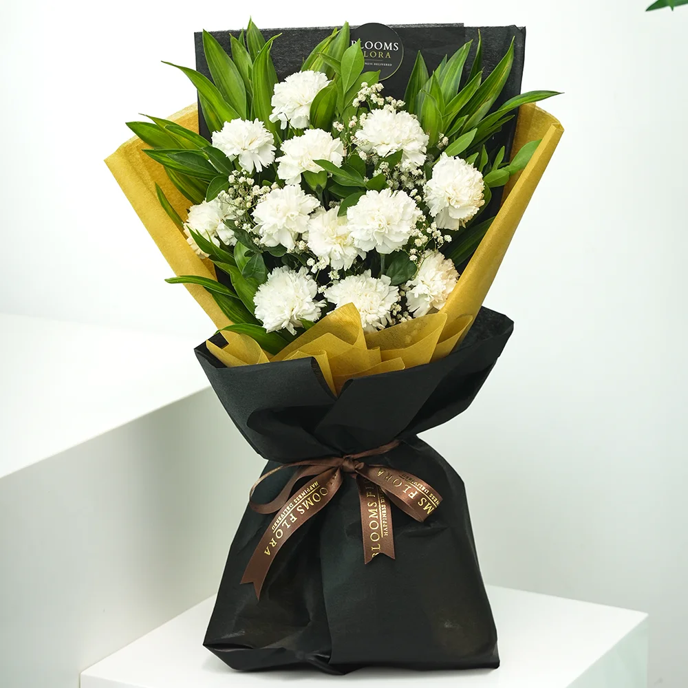 12 white carnations bouquet